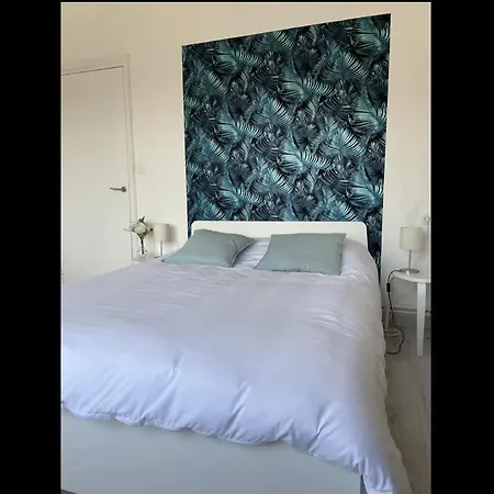 Apartment Grand Lumineux Centre De Dunkerque 8p *